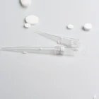 Laboratory Consumables 10ul Filter Tips Micro Pipette Tips For Lab Test With Filter Not DNase RNase Sterilized Pipette Tip