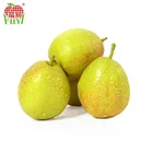 Size Pear Pear Fruit Yellow Fresh Pears/Big Size Golden Pears/Sweet Pear Fruit