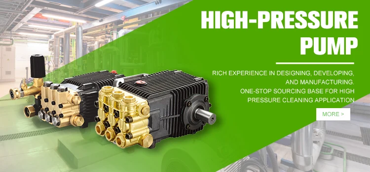 Pressure Triplex Plunger Pump, DANAU, DBC-15085A5, 3000PSI - detail 2