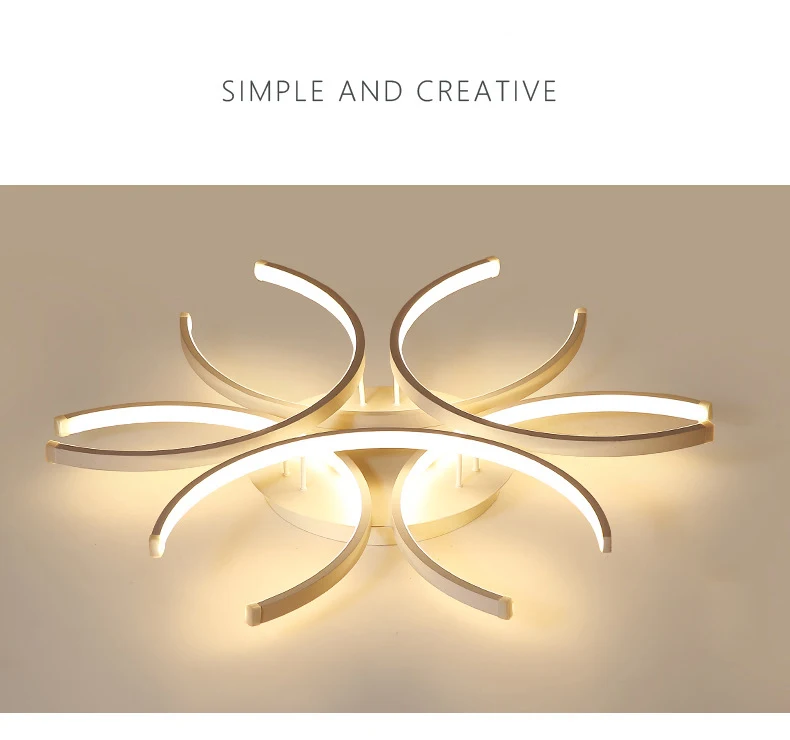 Home Decorative LED Ceiling Light Modern Living Room Bedroom LED Indoor Lighting