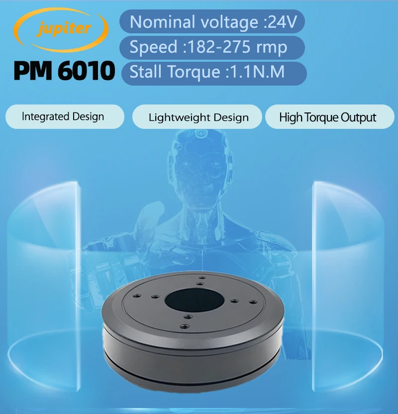 Gear Torque Brushless Motor, 60mm, 24VDC - detail 2