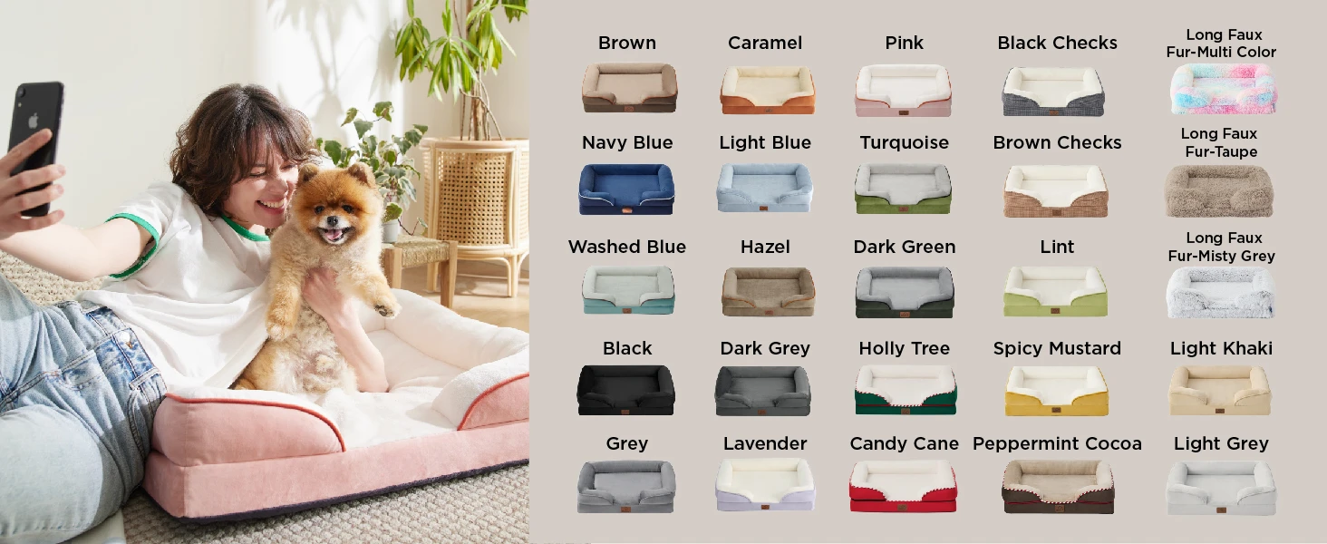 dog bed6