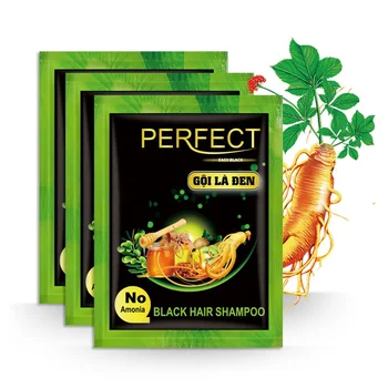 In Stock Natural Ginseng Easy Dye 5 Minute High Quality Hair Color Shampoo 25ml For Sliver Hair In Sachet Hair Black Shampoo