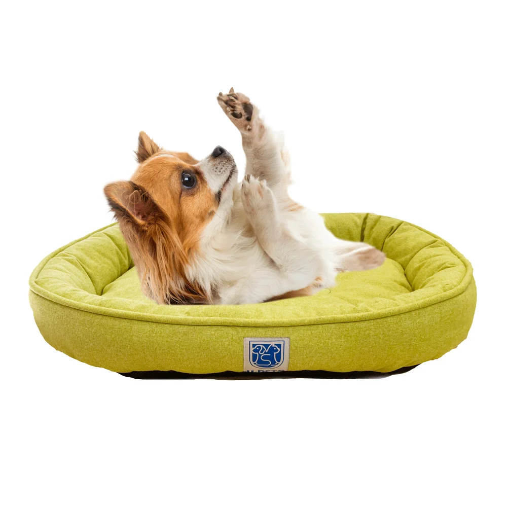 Can I Use Cold Water To Wash My Dog