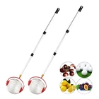 Garden High Quality Custom Garden Farm Tool Metal Nut Picker Garden Nut Picker.