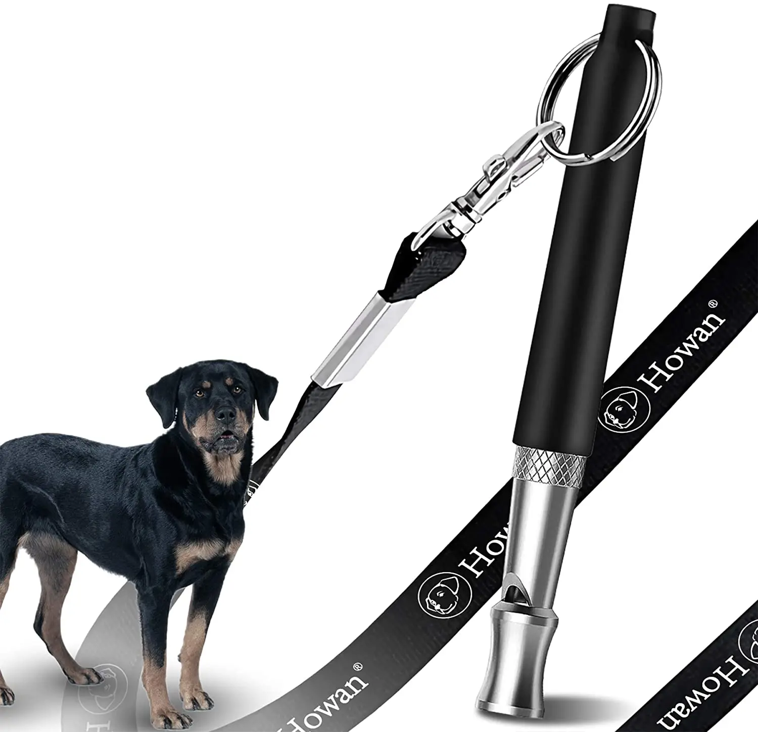 Are The Whistles That Help Dogs To Stop Barking