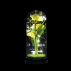 Led Dome Display 2021 Best Selling Led Light Eternal Rose Glass Dome Flower Display For Her