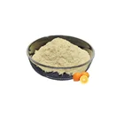 China Factory Supply Orange Peel Extract Powder / Hesperidin CAS 520-26-3