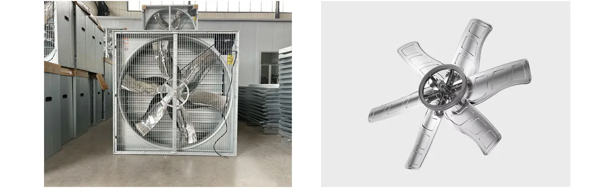 Extractor, 32"-60", Stainless, Steel, Roof - detail 10
