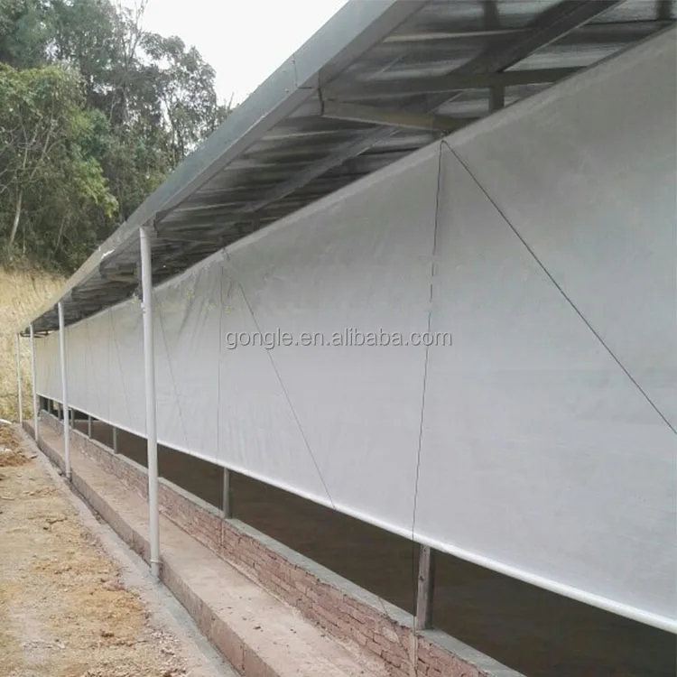 poultry curtain.jpg