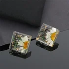 Earrings Acrylic Simple Handmade Clear Resin Earrings Fashion Earrings Acrylic Dried Flower Earrings Jewelry Wholesale