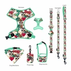 Accessories Collars 2021 Sell Well Pet Supplies Nylon Solid Leashes Dog Harness Set Accessories Luxury Pet Collars