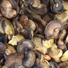 Best Price Cashew Nut Shell Residue/ Cashew Shell / Whatsapp +84 845 639639