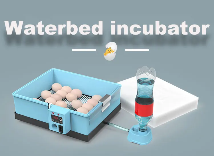 Egg Incubator Fan, 20PCS, 110V or 220V, PP - detail 2