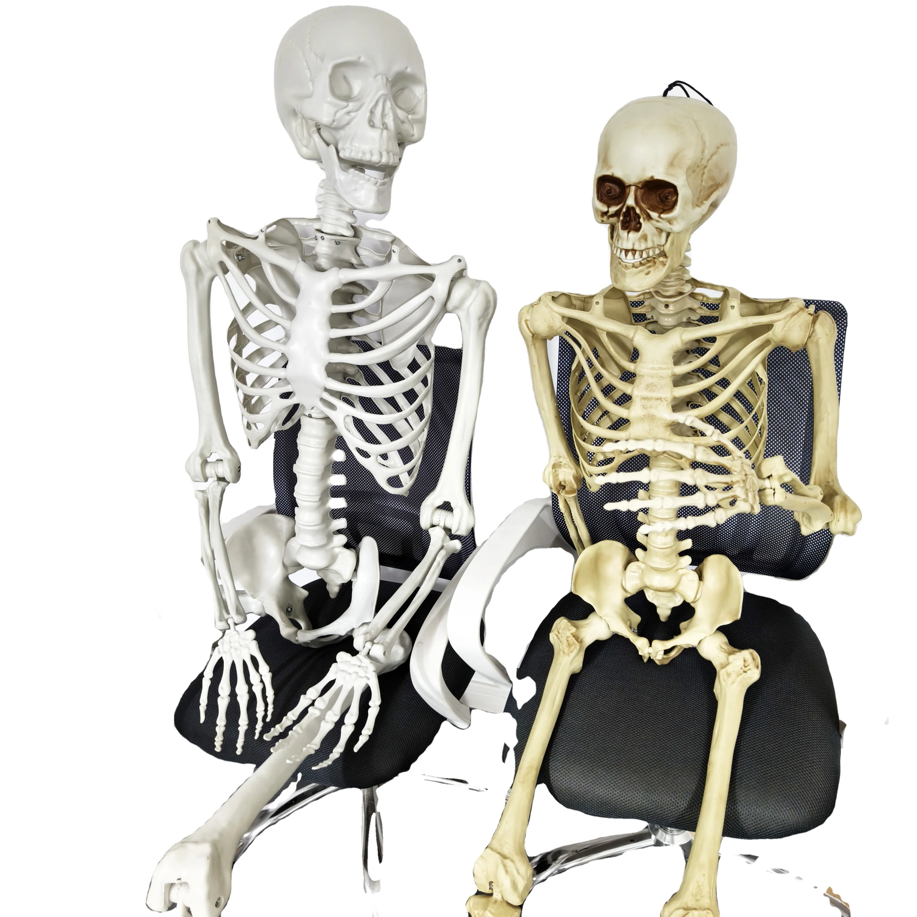 Large High Quality Life Size Halloween Decorations Props Animated Human Movable Joints Skeleton