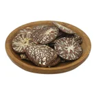 Betel Nut Nuts Betel Nuts High Quality Indonesia Whole Dried Betel Nut / Areca Nuts For Wholesale