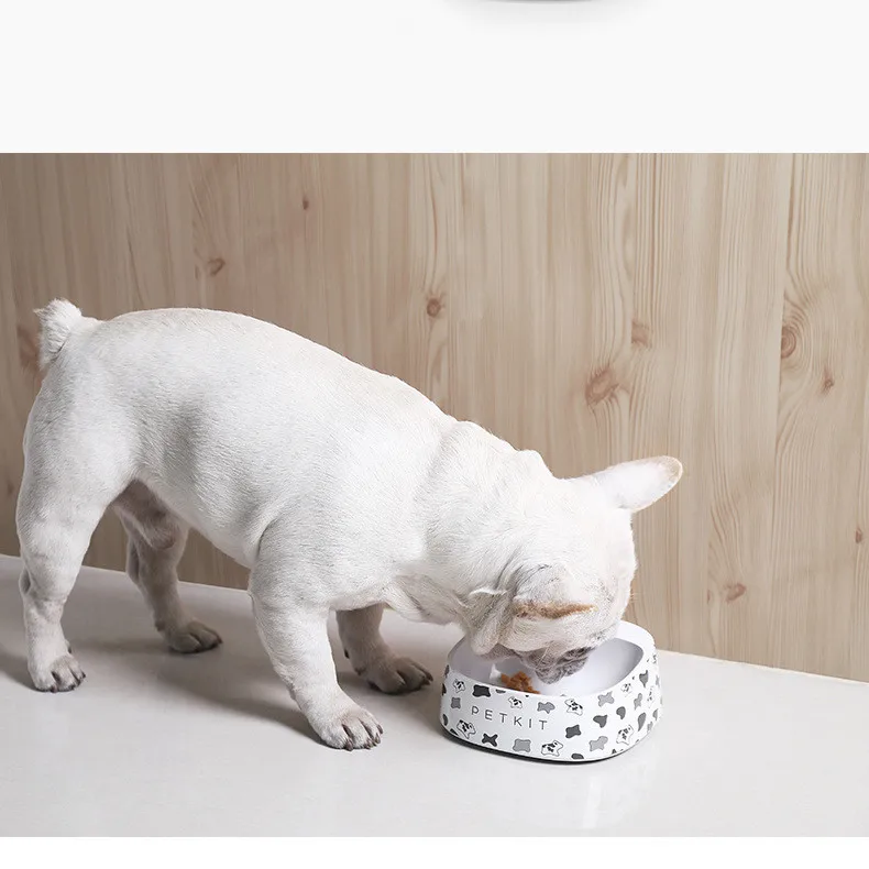 how high should a dogs food bowl be