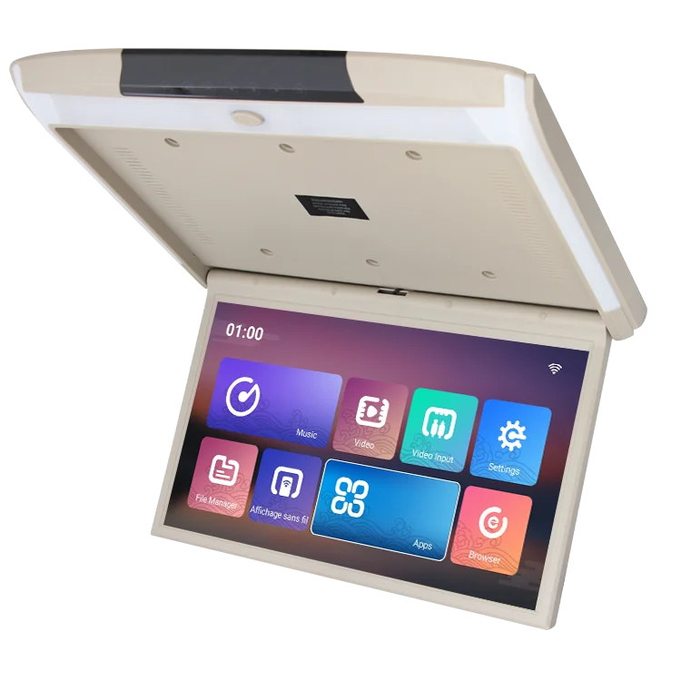 car roof monitor (3).png
