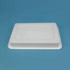 Food Tray Food Manufacturer Custom Last Design PVC Cookies Packaging Plastic Food Tray