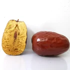 Dates Date Fresh Dates Welled Packaged Exporters