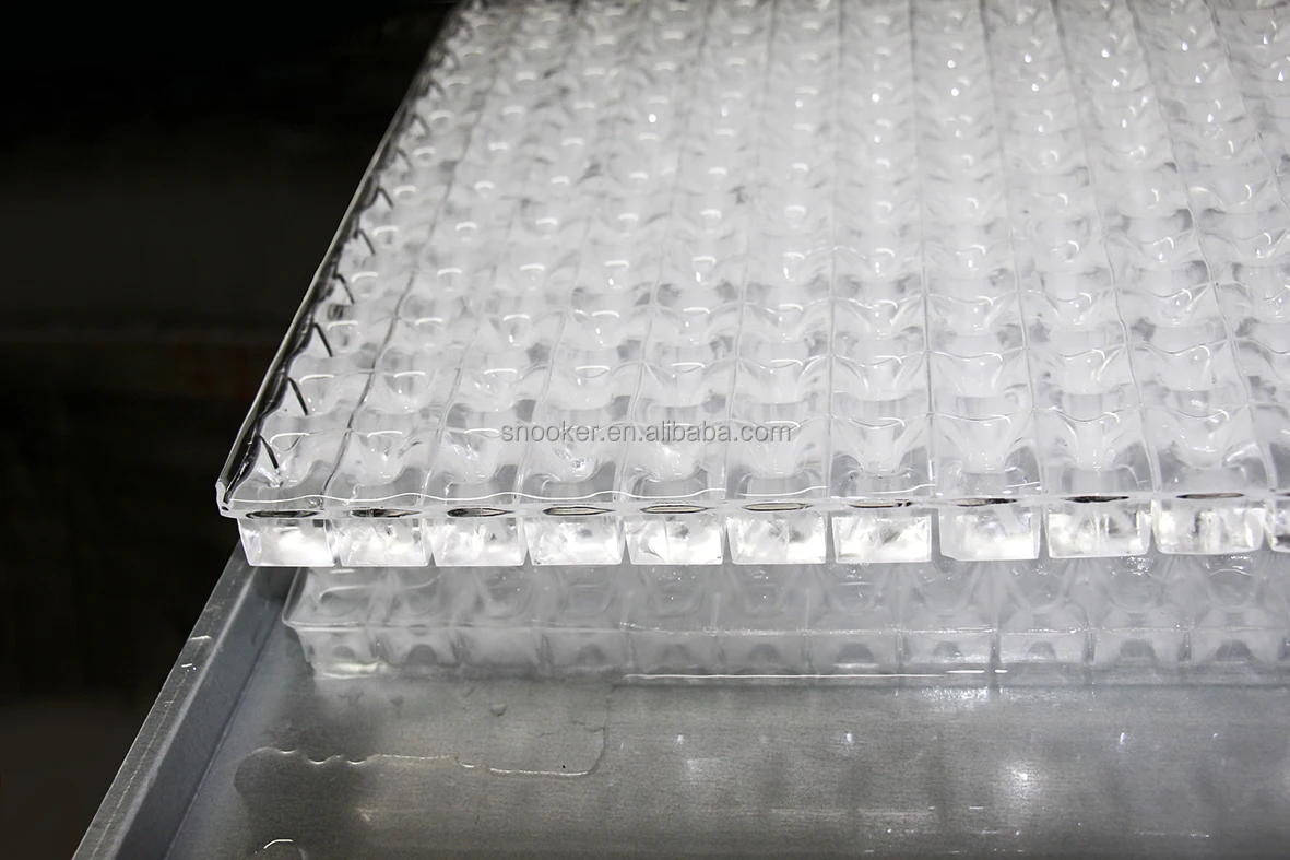 Ice Machine, 220V, SS 304L - detail 10