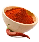 Red Red Chili Powder High Quality 60 Mesh Dried Red Chili Red Powder