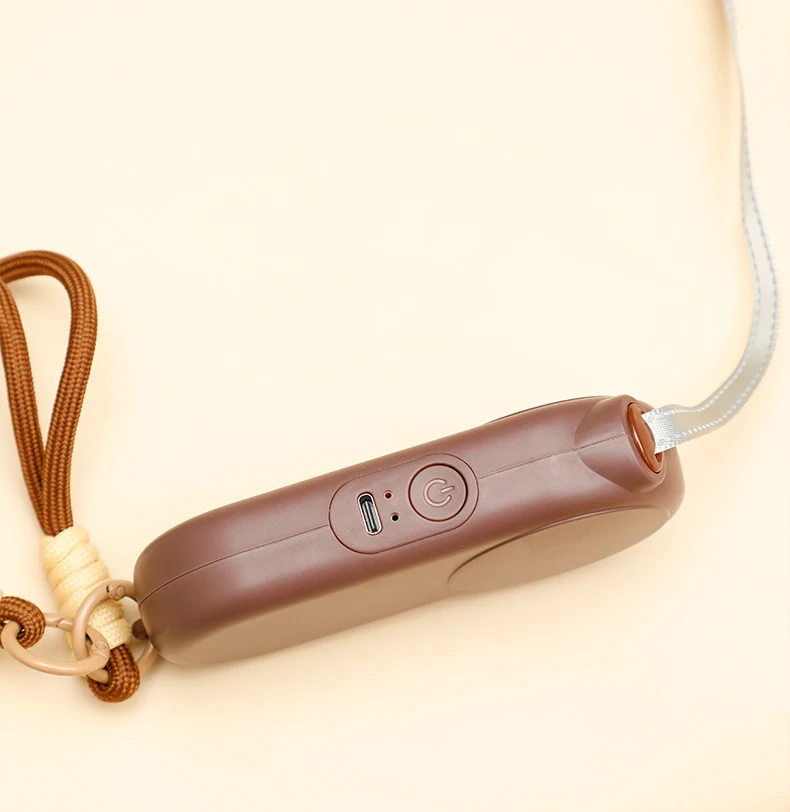 Wholesale New 2 in 1 Multifunctional Outdoor Portable Pet Leash USB Rechargeable Hand Warming Pet Supplies details