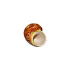 Shell Wholesale Polished Raw Natural Red Cat Eye Shell For Home Decoration Conch Sea Shell Gift