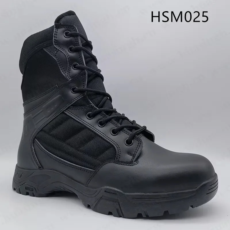 HSM025