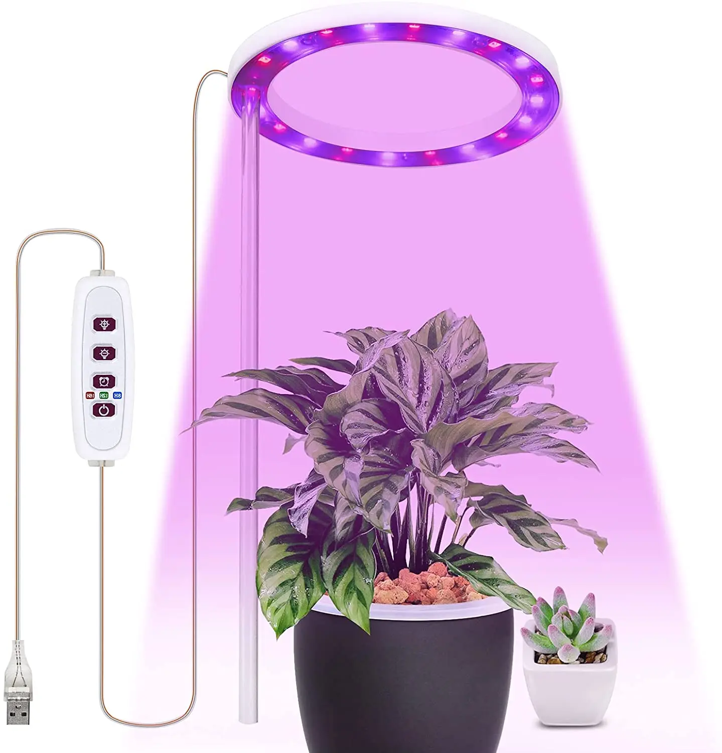 Hijgend samenzwering conjunctie Single Ring Full Spectrum Led Grow Lamp Usb Intelligent Dimmer Timer Pink  Color Led Grow Light For Indoor Plants - Buy Grow Lamp,Led Grow Light For  Indoor Plants,Led Grow Light Product on