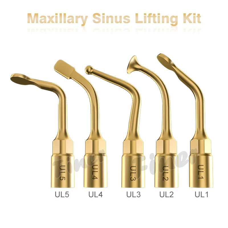 Maxillary Sinus Lifting