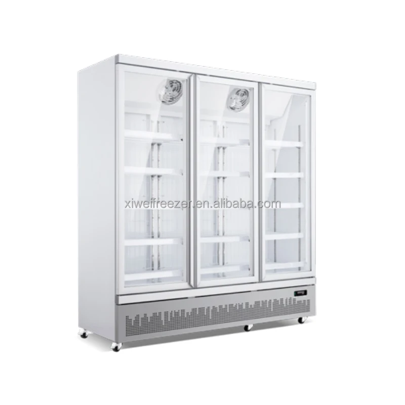 Defrost Three-door Meat Freezer, 110V-130V, 201 - detail 6
