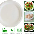 Plate Renewable Sugarcane Disposable Plant Plate Biodegradable Sugarcane Pulp Plates