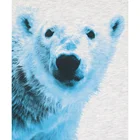 Boy Sweatshirts Boys Sweatshirt Boys Boy Bear Print Sweatshirts Little Boys Sweatshirts Custom Sweatshirts No Minimum