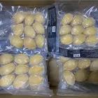 Abalone Hot Selling Good Quality Golden Nutritious Shellfish Dried Abalone