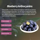 Blueberry Sciencarin Wholesale Beverage Blueberry Powder