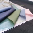 Nylon 100% Nylon 380T Waterproof And Downproof Dull Nylon Fabric For Bags With Symphony Blu-ray Pearl Coating