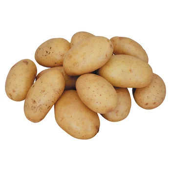 export Potato chinese New Crop Frozen Potato In Good Quality In Bulk