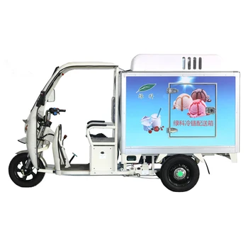 Three wheel scooter Delivery Food use Electric Tricycle Vehicle Mobile Food Cart Froze Electric Motorcycle Van with Freezer