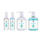 Hand Wholesale Private Label Moisture Natural Antibacterial Alcohol Gel Hand Sanitizer