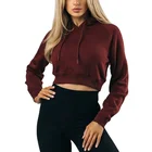 Hoodie Hoodie Suppliers Custom Logo Streetwear Crop Top Hoodie Soft Heavyweight Sweatshirts