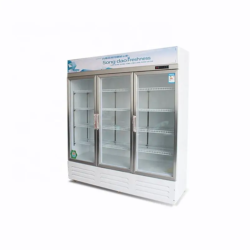 Freestanding Refrigerator, 2-Door, 110V-240V, r290 - detail 10