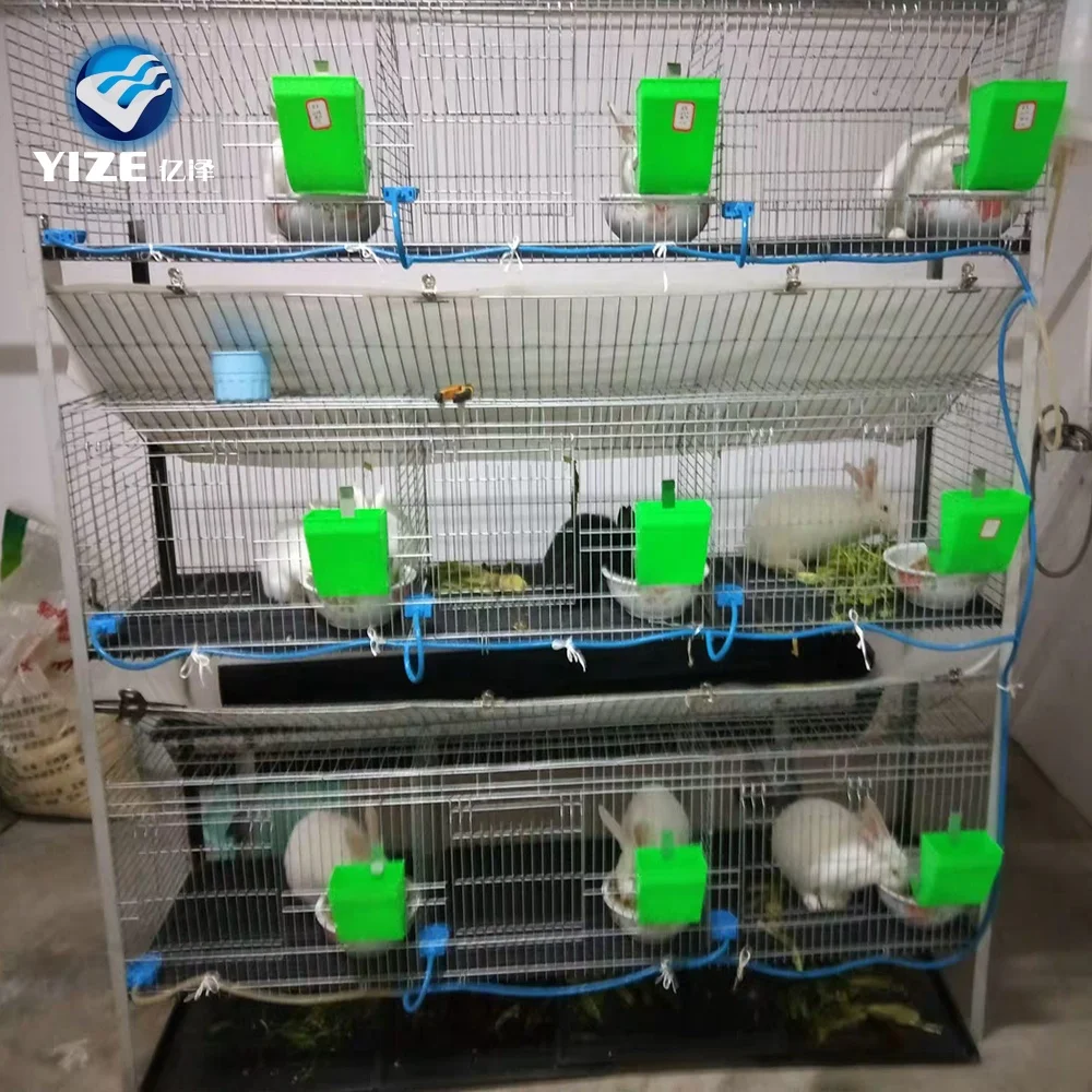 Rabbit Cage Design In Nigeria ubicaciondepersonas.cdmx.gob.mx