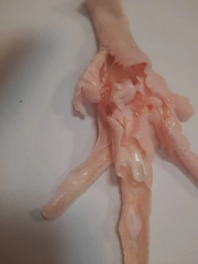 Chicken Debone and Nails Cutting Paw Machine Automatic Separator of Bones and Chicken Meat details