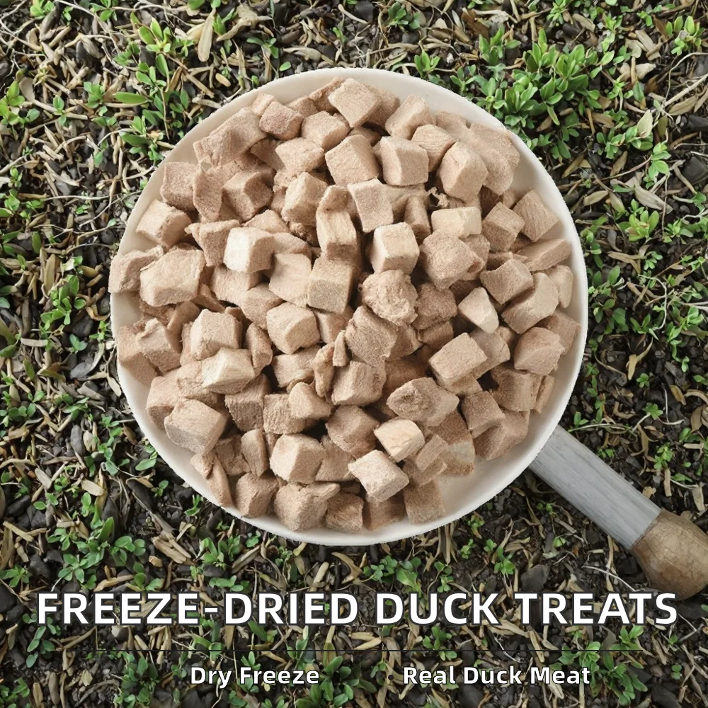 Wholesale Eco-friendly Freeze-Dried Duck Meat Pellets High-Protein Digestive Health Treats for Small Breed Dogs factory