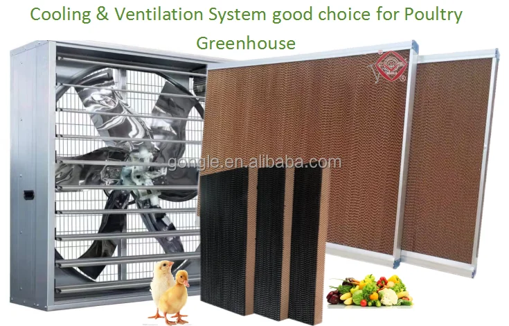 Direct Driven Exhaust Fan, Wall, Electric, Stainless Steel - detail 32