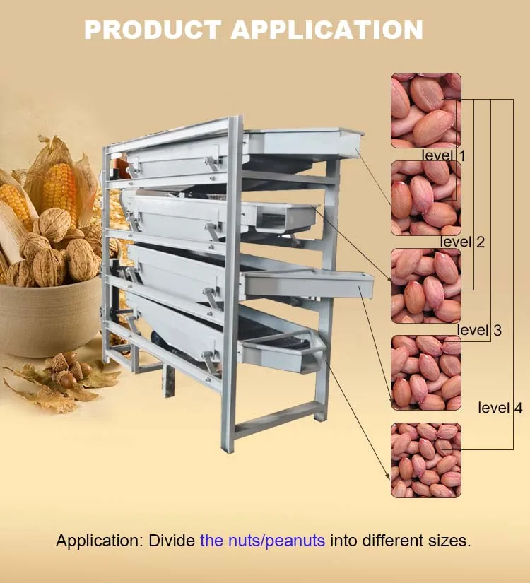 China Manufacturer's New Stainless Steel Automatic Peanut Groundnut Grading Sorting Machine Motor Engine Nuts Corn Soybean factory
