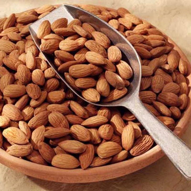Organic Unshelled Roasted Almonds Freshly Picked Sweet Almond Nuts Hot Sale Food Grade Bulk Export Raw Almonds Natural Color