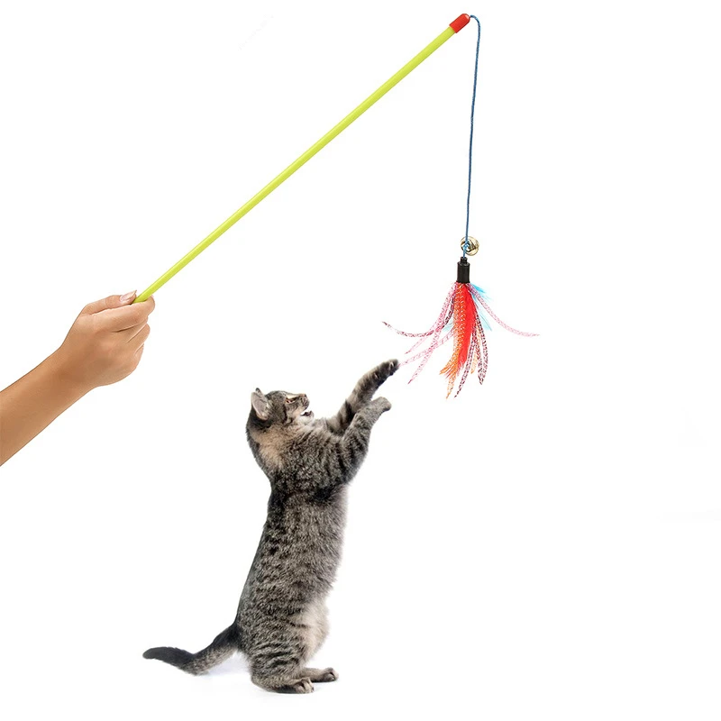 best toys for persian cats