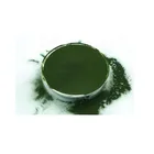 Supplements Wholesale Broken Cell Chlorella Organic Powder Tablets Herbal Supplements Immune Anti-fatigue